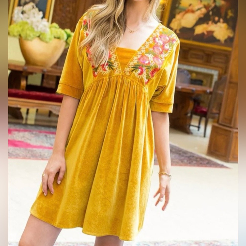 THML Yellow Gold Red Embroidered Floral Velvet Babydoll Dress Size Small Anthro